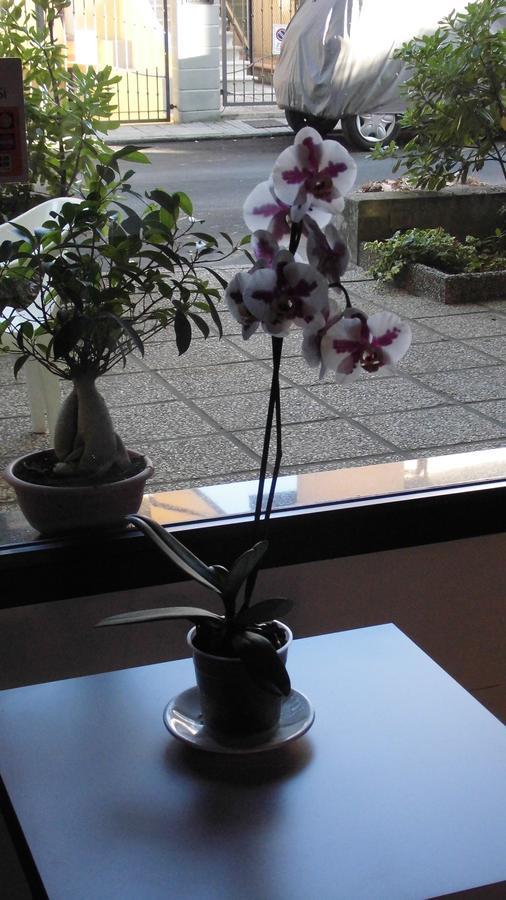 Hotel Elde リッチョーネ エクステリア 写真